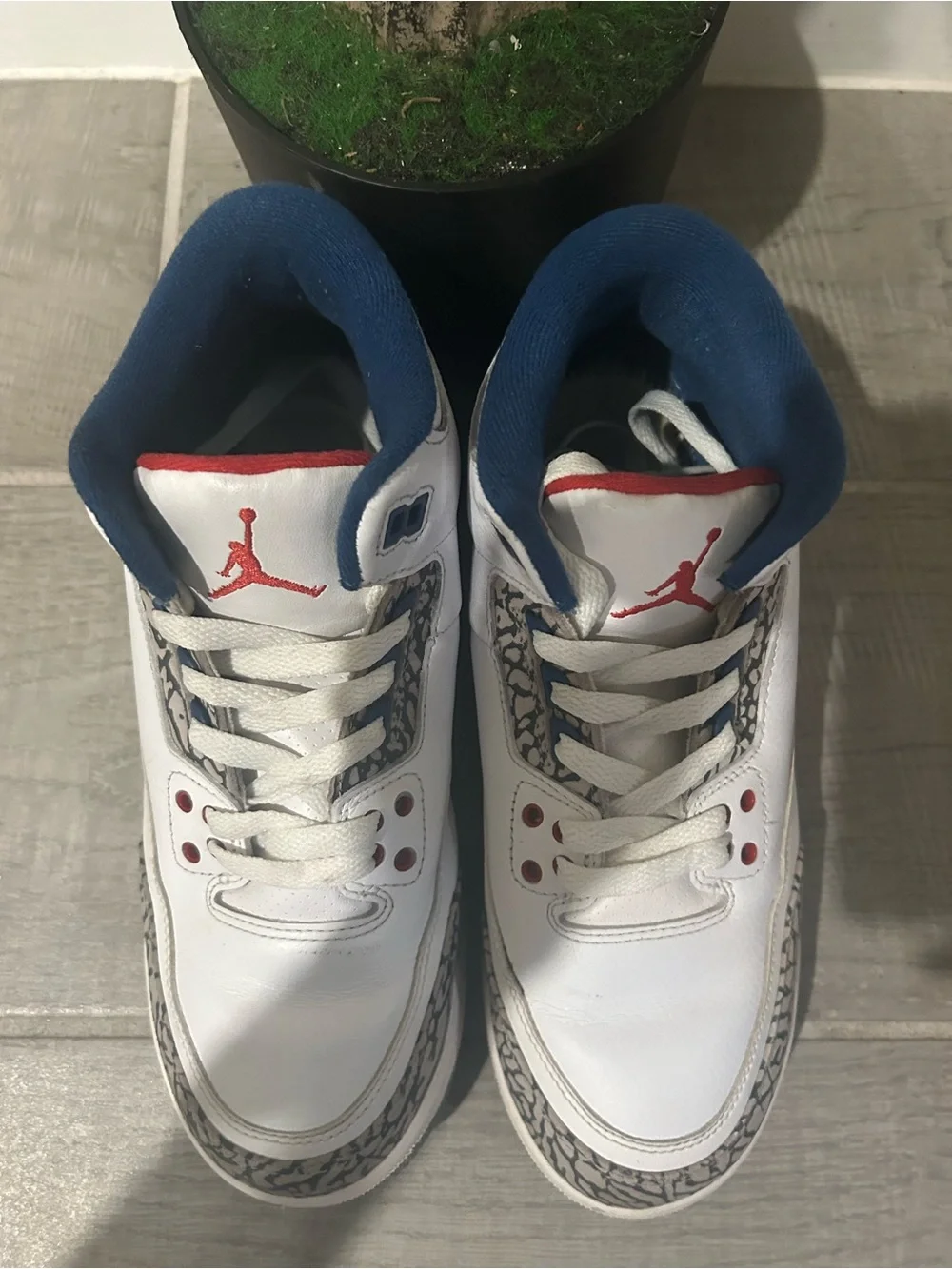 Jordan Kids White/Red/Blue Retro 3 Sneakers with Elephant Print
